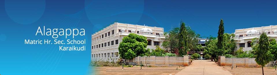 Alagappa Institutions